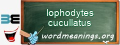 WordMeaning blackboard for lophodytes cucullatus